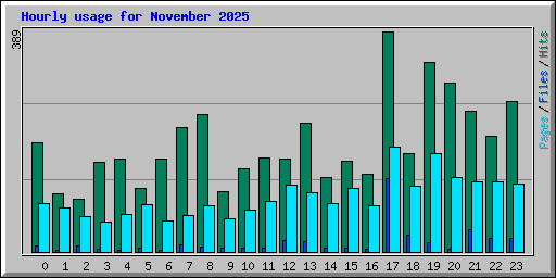 Hourly usage for November 2025
