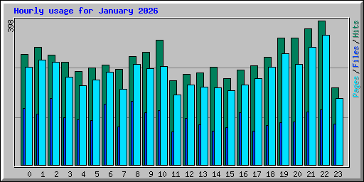 Hourly usage for January 2026