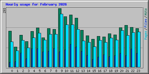 Hourly usage for February 2026